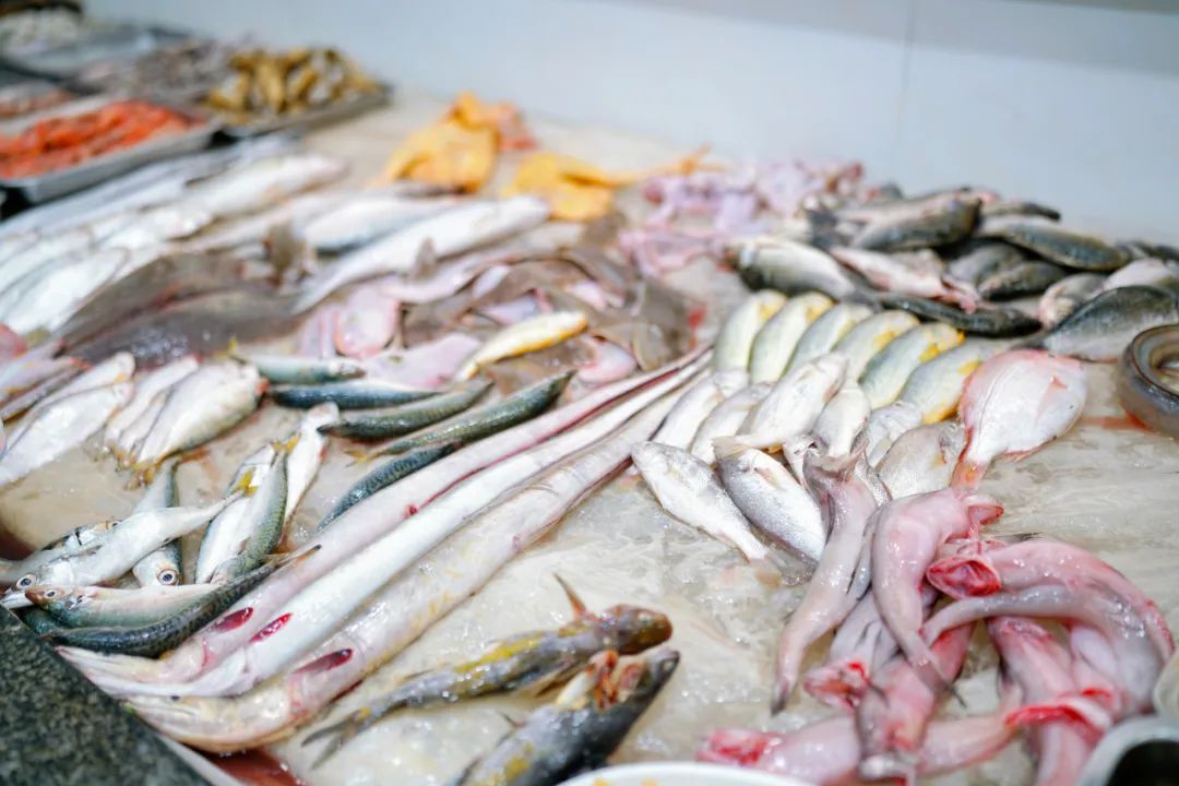 真吃不下了,这个靠海吃海的小县城怎么就能这么好吃