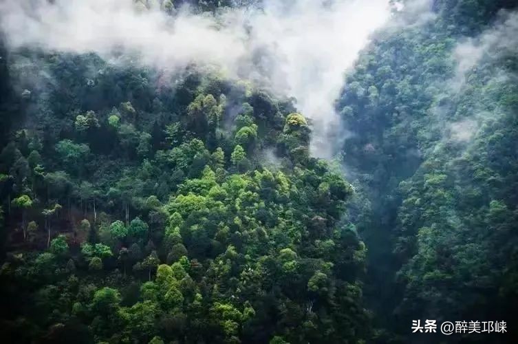 邛崃市级以上个人荣誉有哪些,邛崃市级以上荣誉称号有哪些