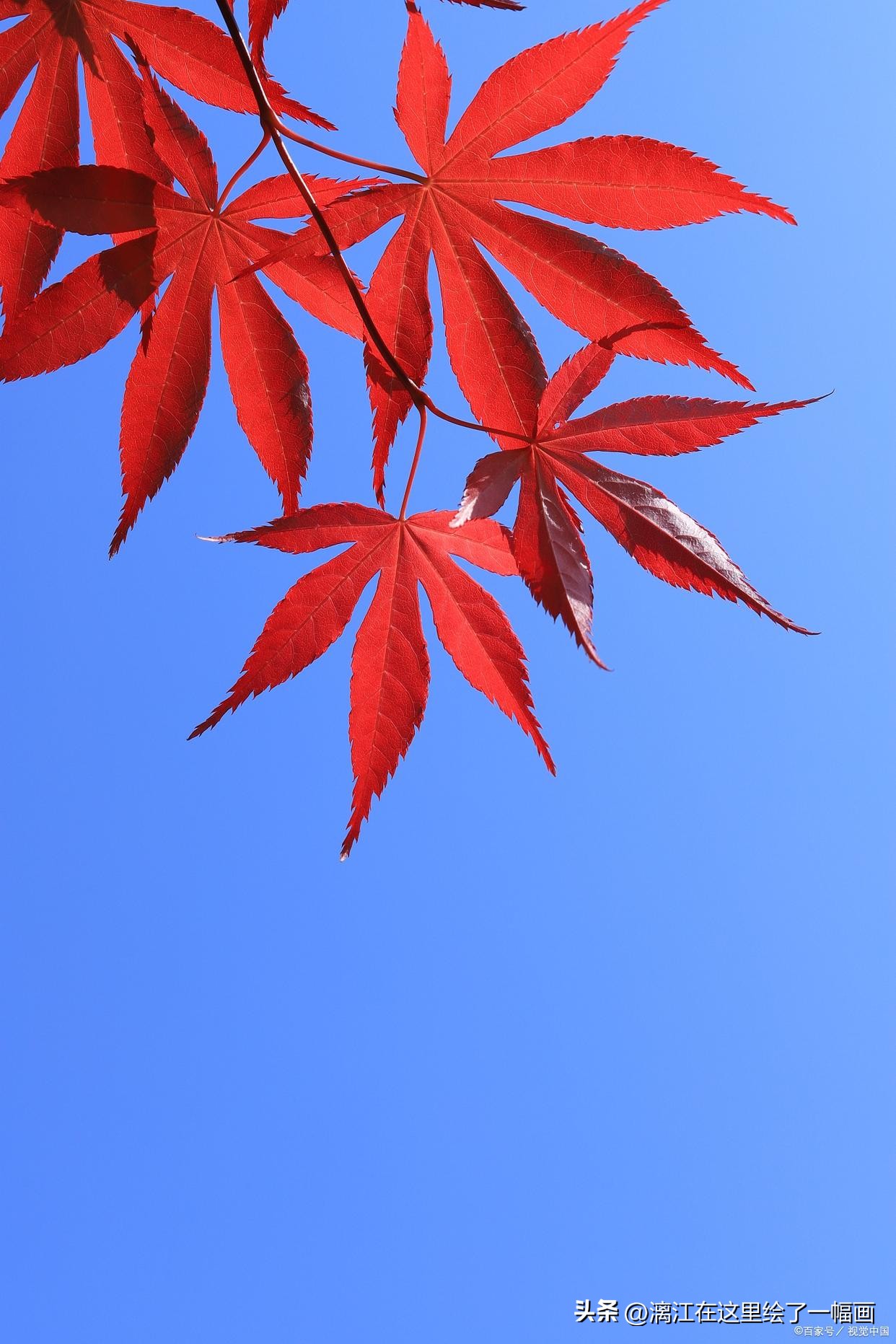 短篇言情小说72篇,青春言情小说正版