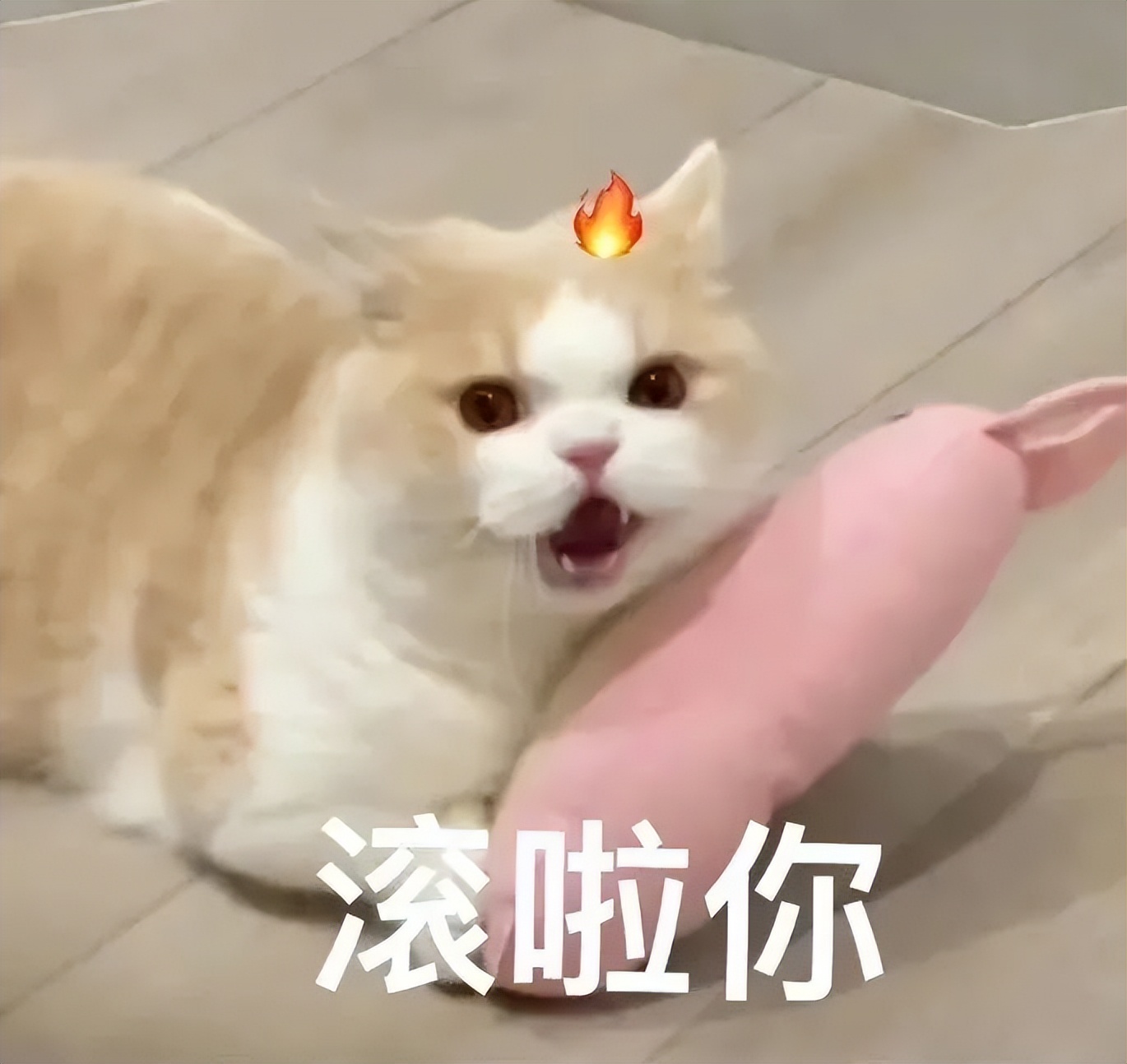 自从买了这个手机壳，我就经常找不到手机了