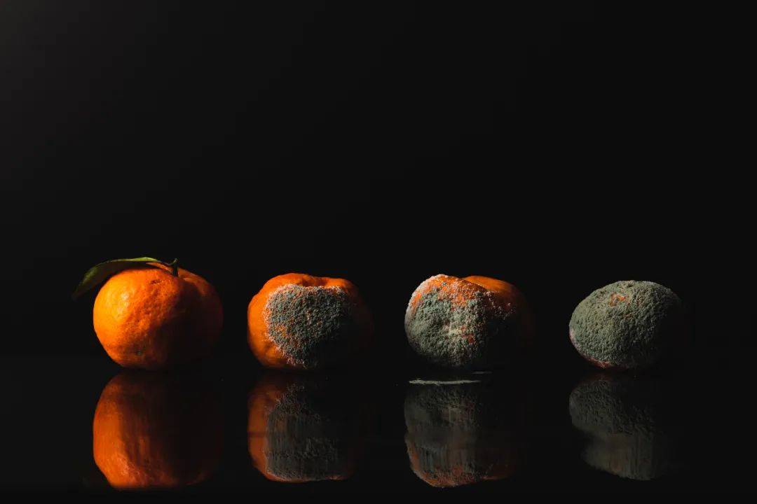 喝普洱茶等于自杀？一克普洱熟茶含五亿霉菌，普洱茶到底能不能喝