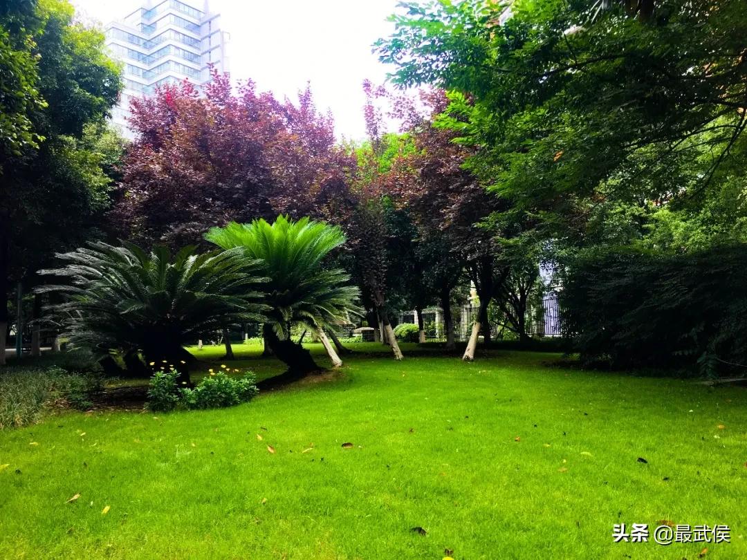 有一种幸福叫公园绿地就在家门口,有一种幸福叫阳光的温暖