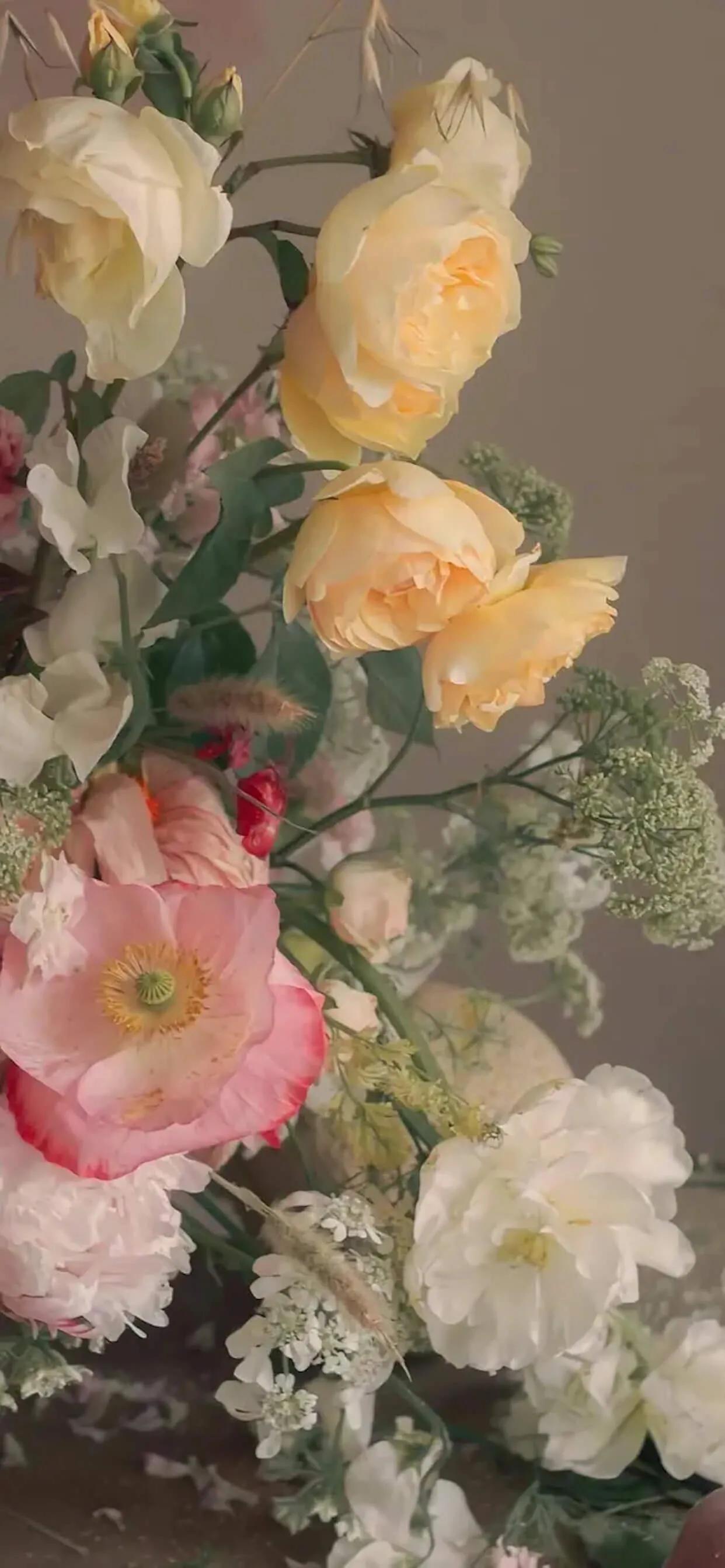 玫瑰壁纸唯美伤感,壁纸浪漫玫瑰