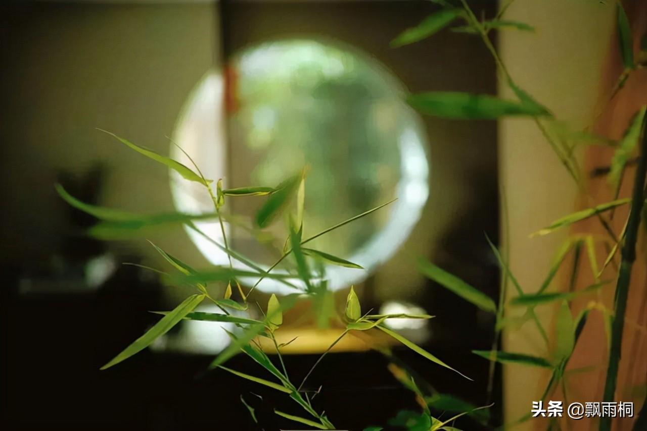 金庸天龙八部的解析,金庸天龙八部小说讲的什么