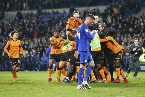 五大联赛升班马2023-2024,五大联赛升班马大全