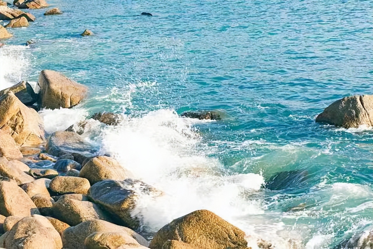 2022全国高考甲卷英语卷子,2021全国高考甲卷英语卷子