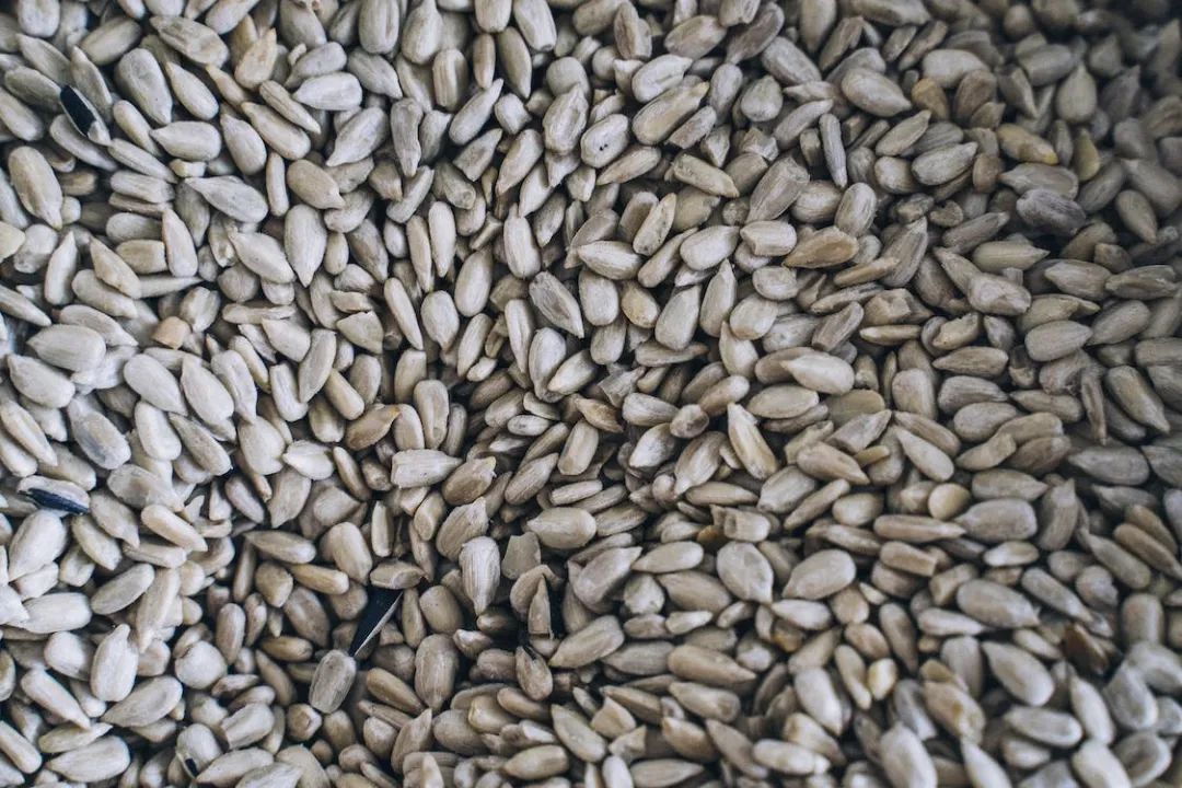 嗑瓜子的好处提神吗,嗑瓜子坏处