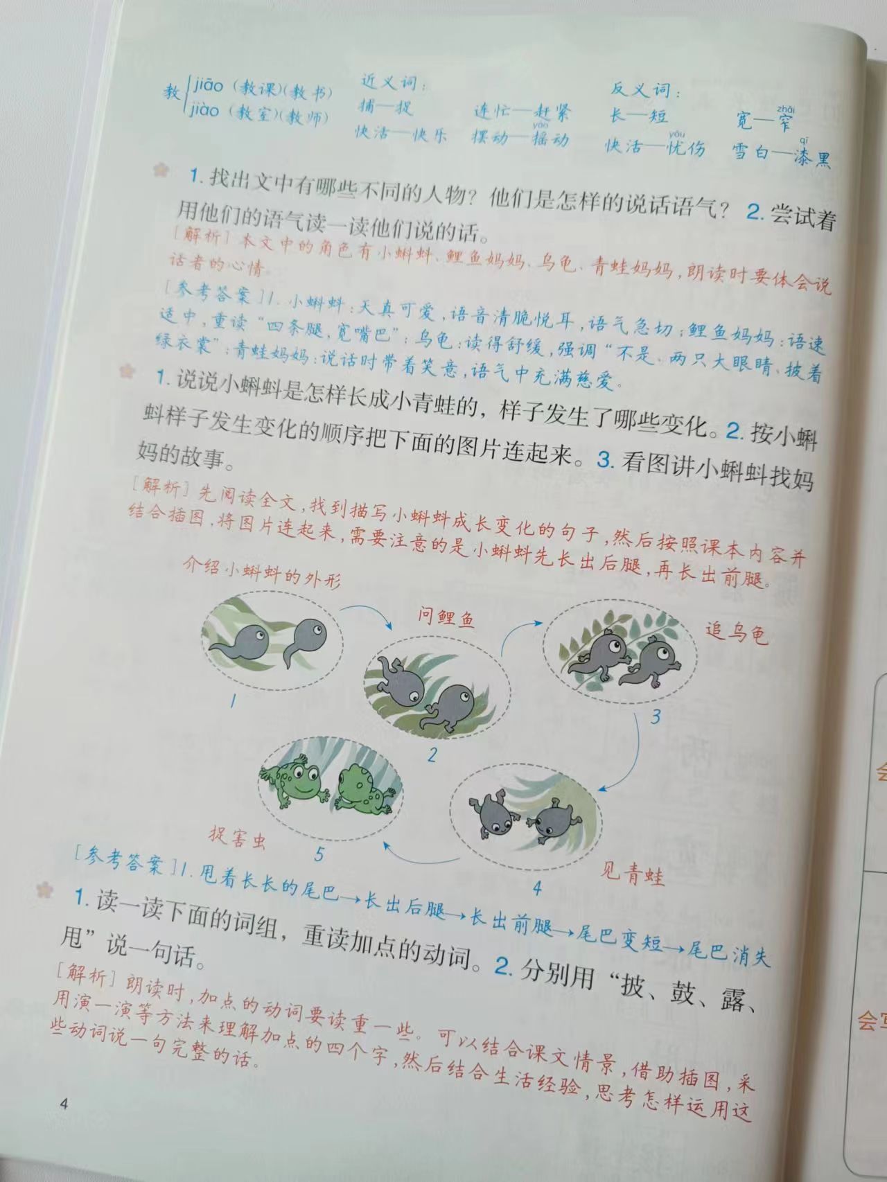 语文学习有技巧，三“习”“五字决”要掌握