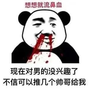 熊猫贴在墙上表情,震惊熊猫表情素材