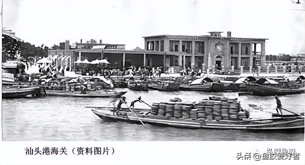 鱼胶目前的普及程度,鱼胶行业现状