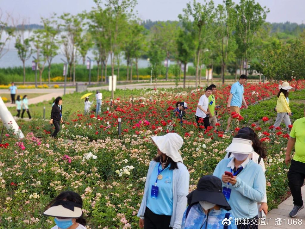 畅行中国奋进新时代,畅行中国走进邯郸