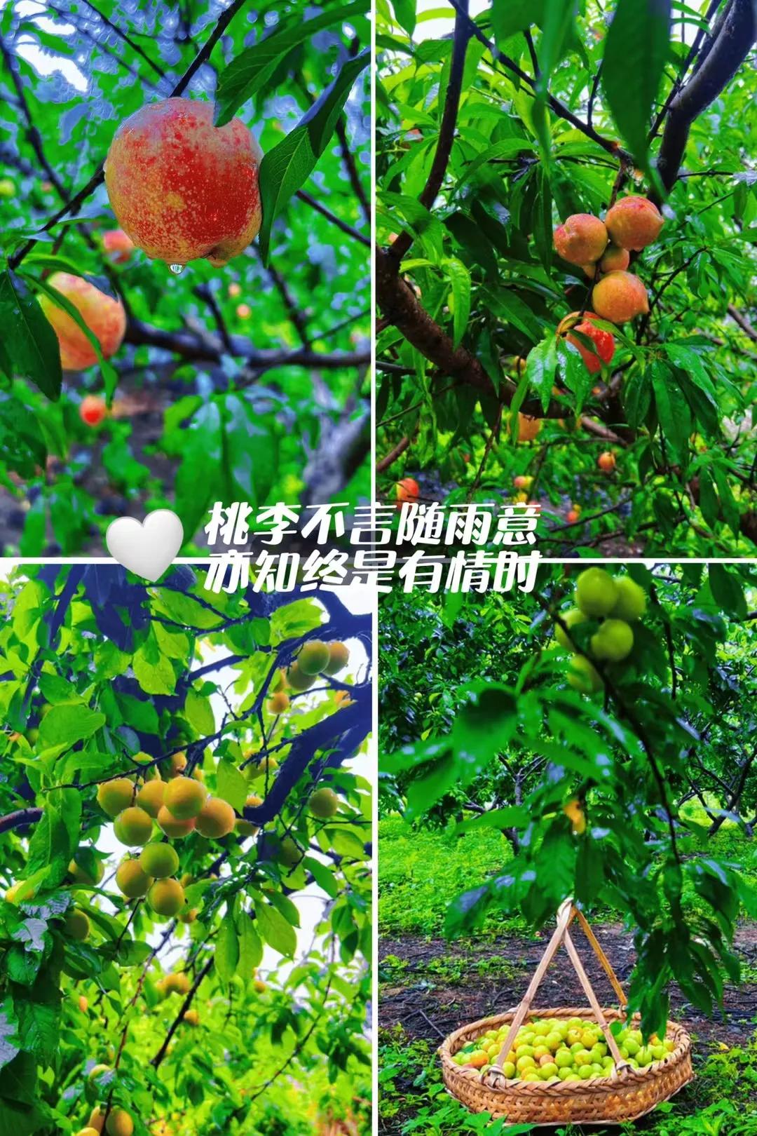 写给女生的15个忠告,写给女人的20条忠告