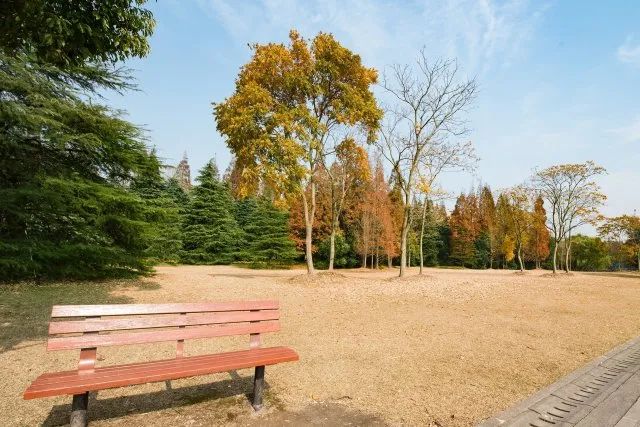 上海徐汇区示范幼儿园,上海有哪些宜居教育还好的区