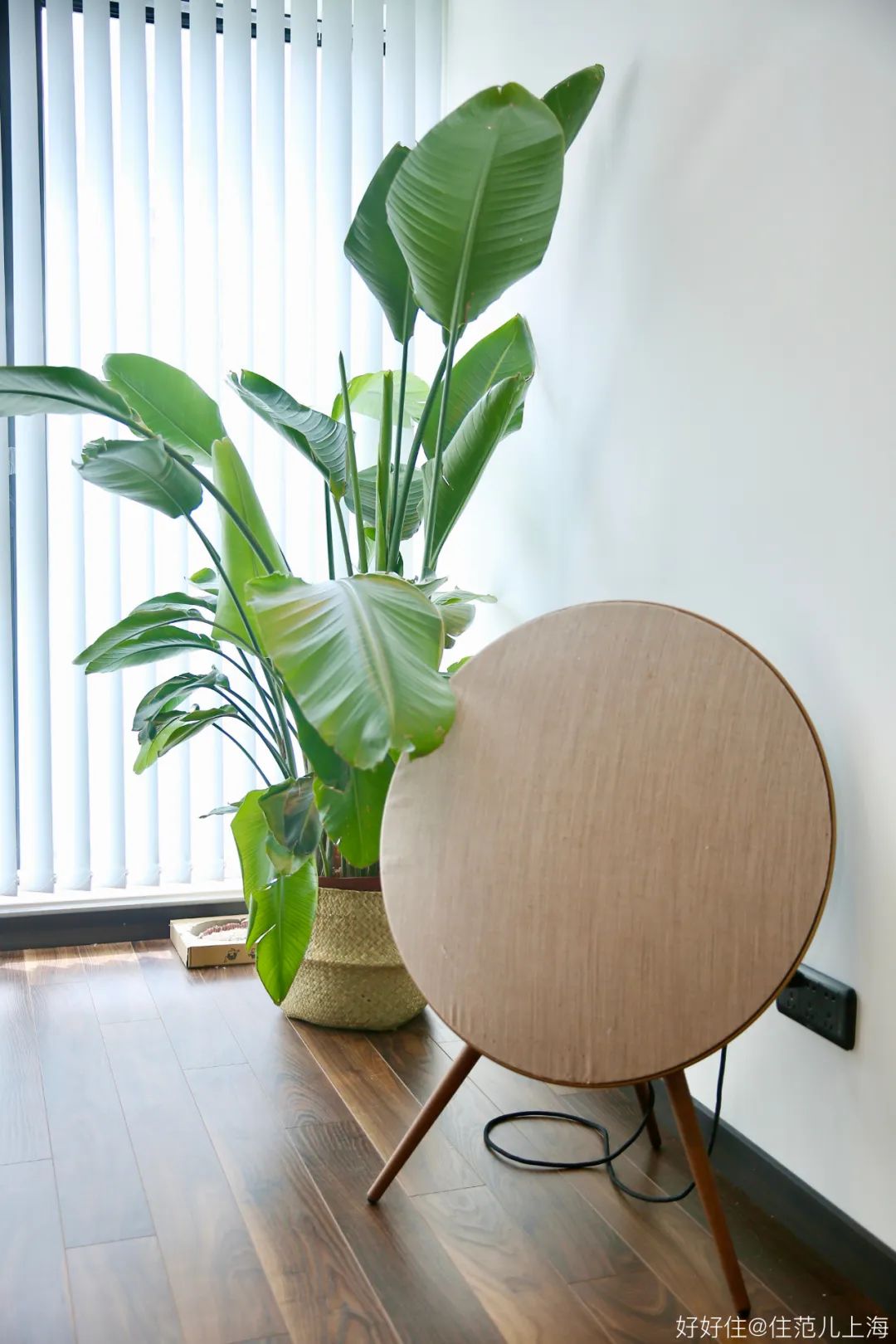 10万打造日式原木风,独居女孩的温馨小屋原木风