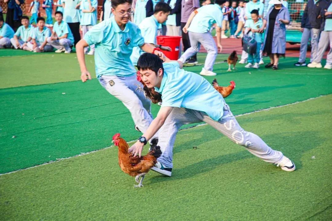 此去星辰大海归来仍是少年的意思,此去星辰大海归来仍是少年的出处