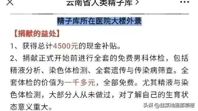 捐精！捐精！想致富！捐精路！一次全流程获得4500～5000元补贴。