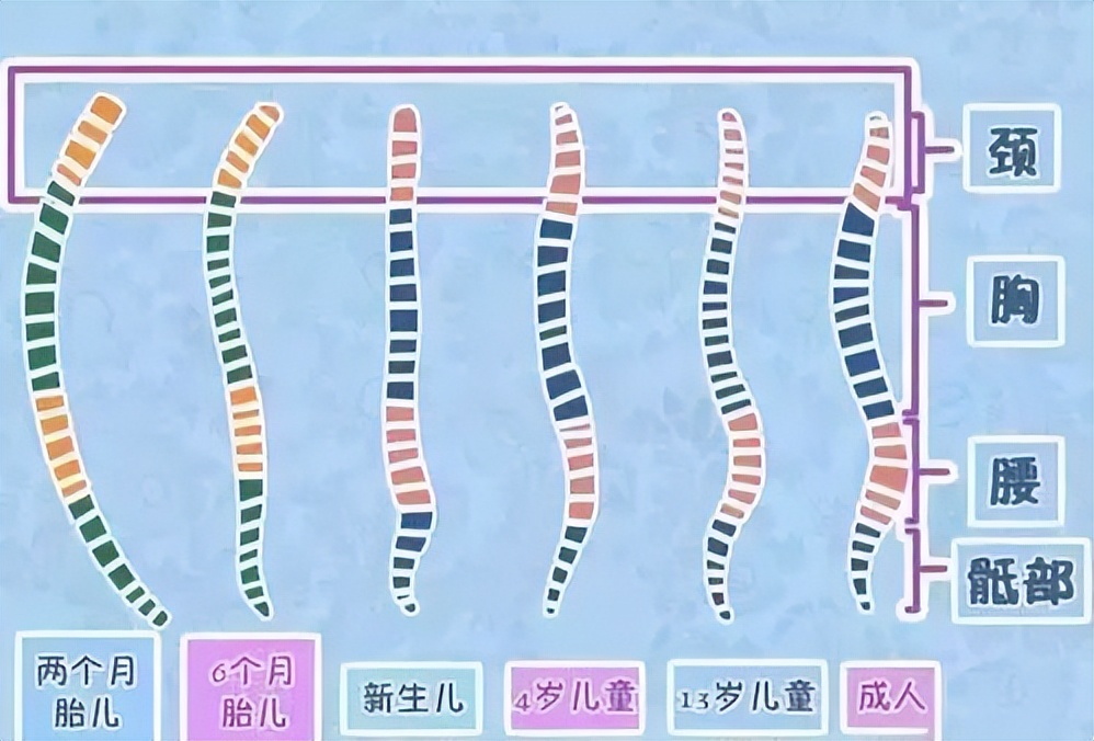 宝宝多大用小米枕头,宝宝多大不要用定型枕