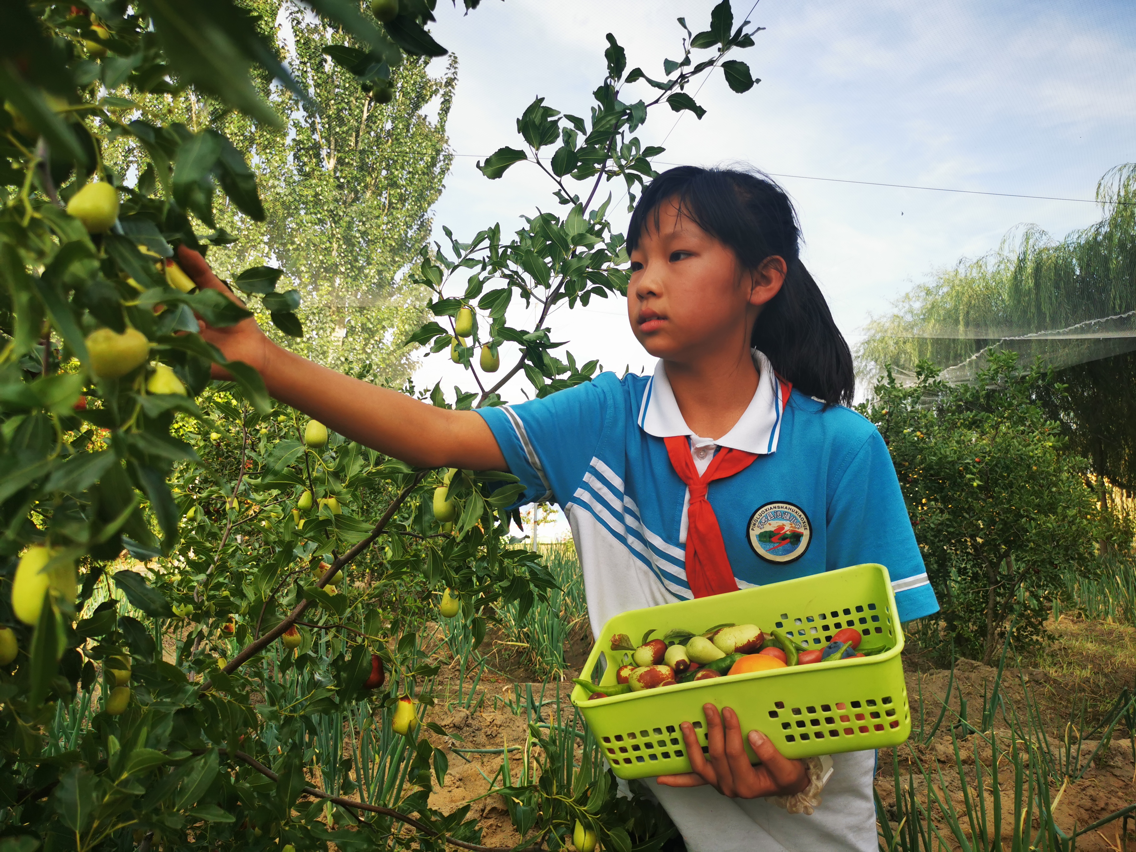 喜迎二十大校园添光彩,喜迎二十大播撒新希望