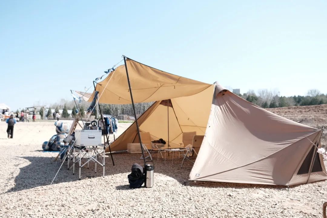 听说你想入坑塔帐？看完这篇文章就够了