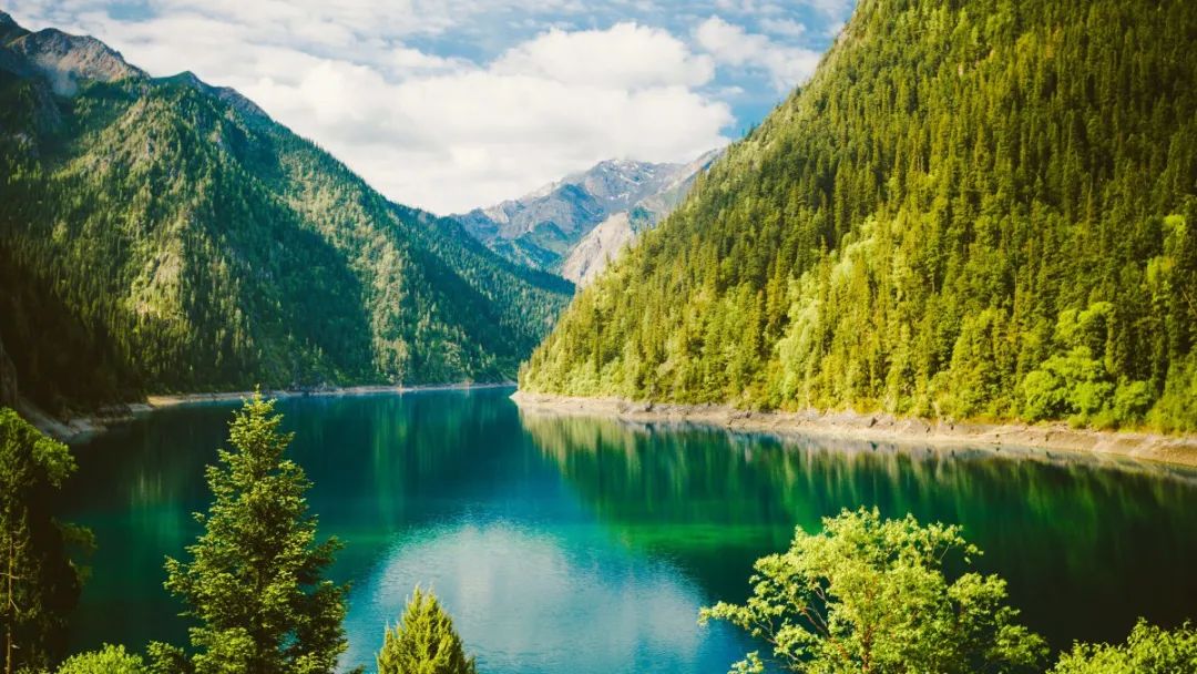 「问答」关于负氧离子，你是否也有这些疑问？