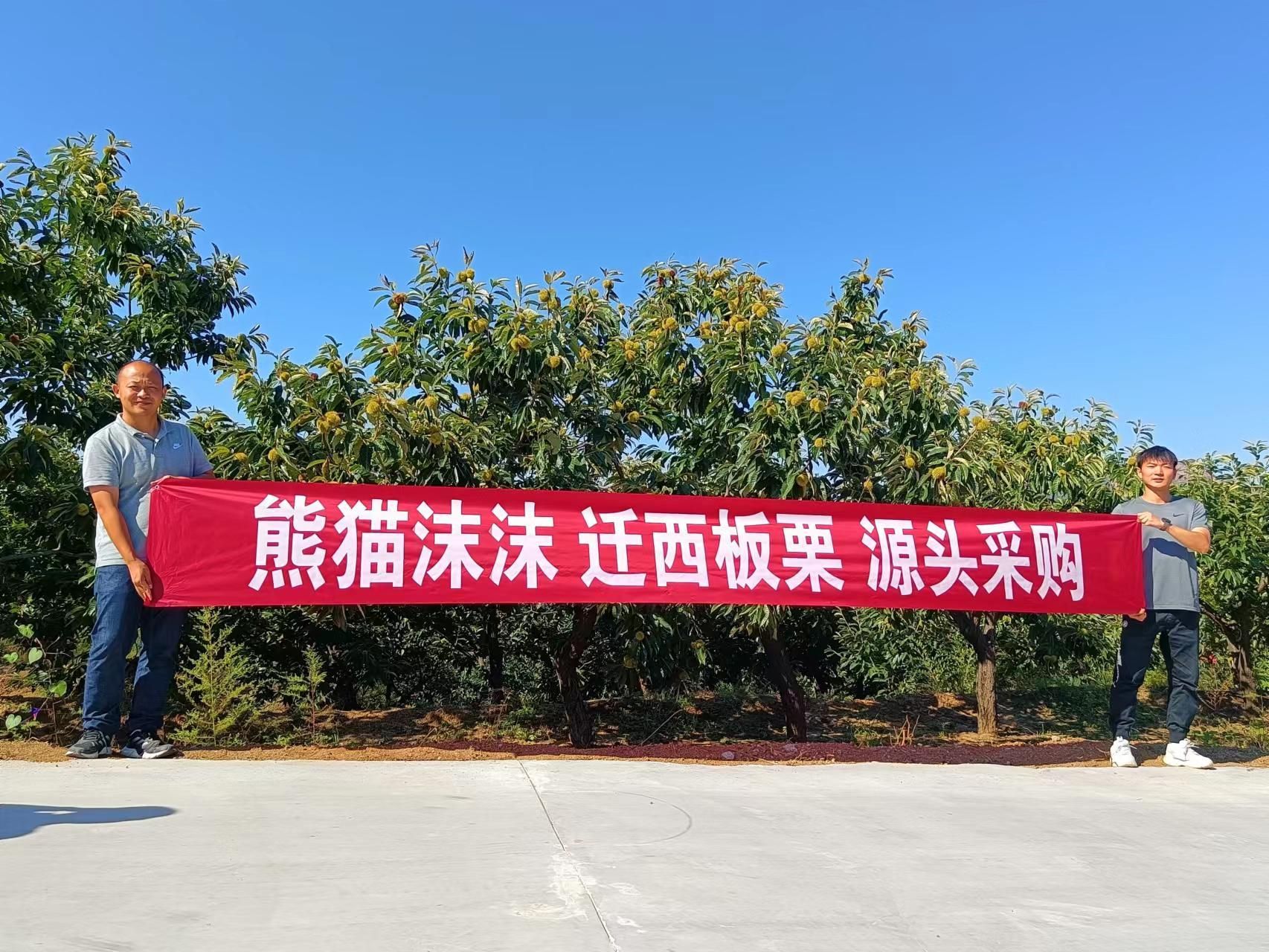 熊猫沫沫炒货市场怎么样,熊猫沫沫年货只卖三天