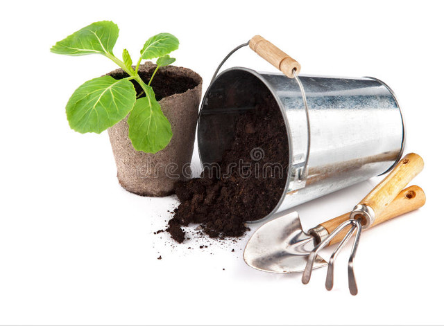 亚马逊面试题逻辑思维题,广东亚马逊运营专员面试题