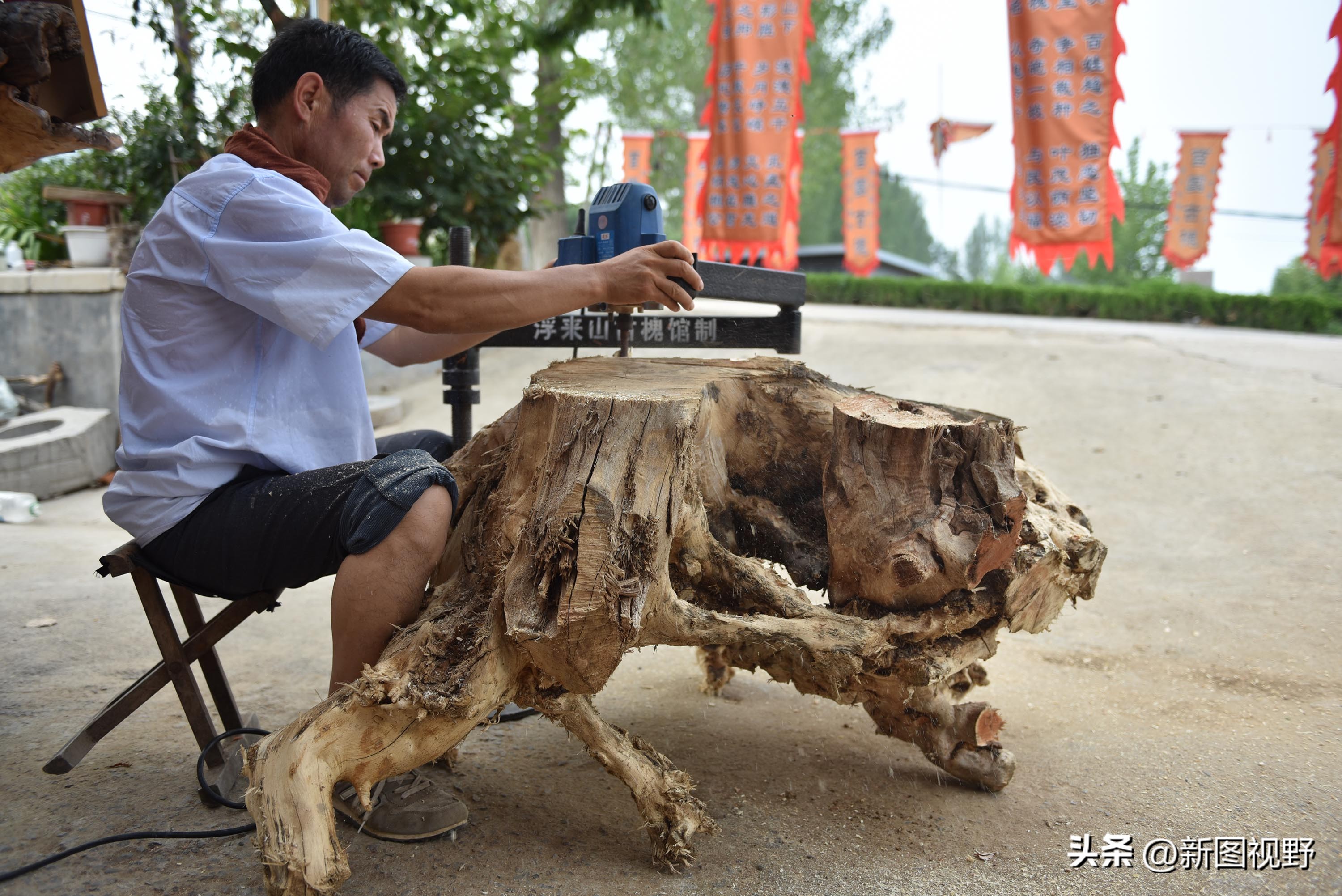55岁农民，花60万买了一堆古树，每天做着发财梦，睡到自然醒