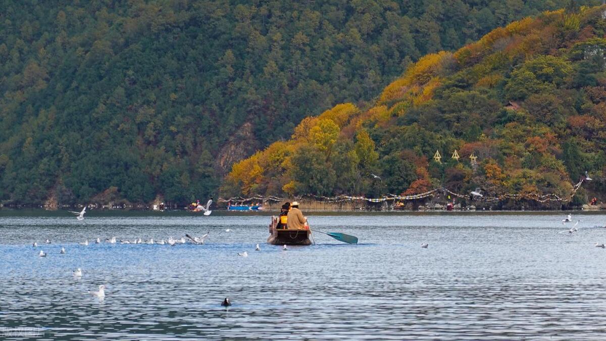 云南各个地方的特产有哪些,云南特产有哪些比较出名的