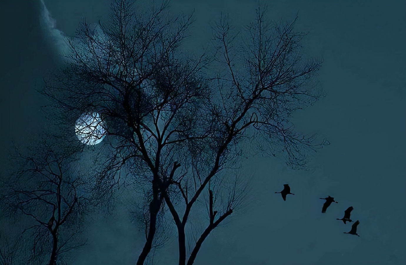 王维十首名诗鸟鸣涧,王维十首最好诗