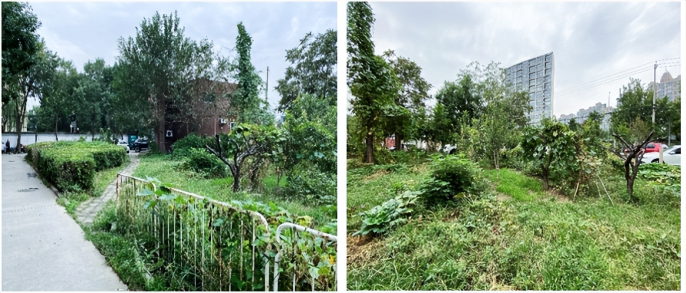 「疏整促」剧透！朝阳区这三个小微空间即将“换装”