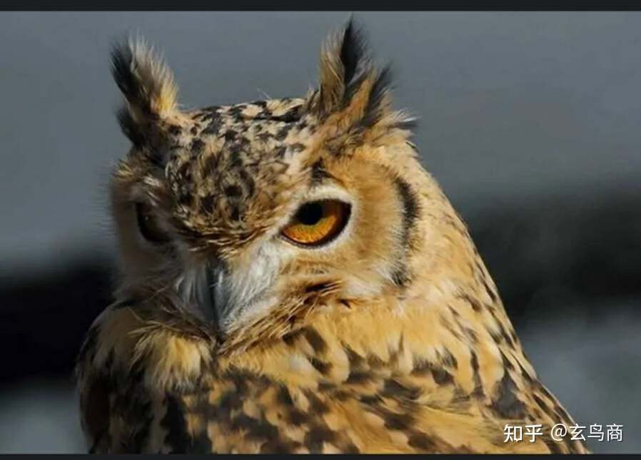 山海经2012白话全译彩图版pdf,山海经海外西经是指哪里