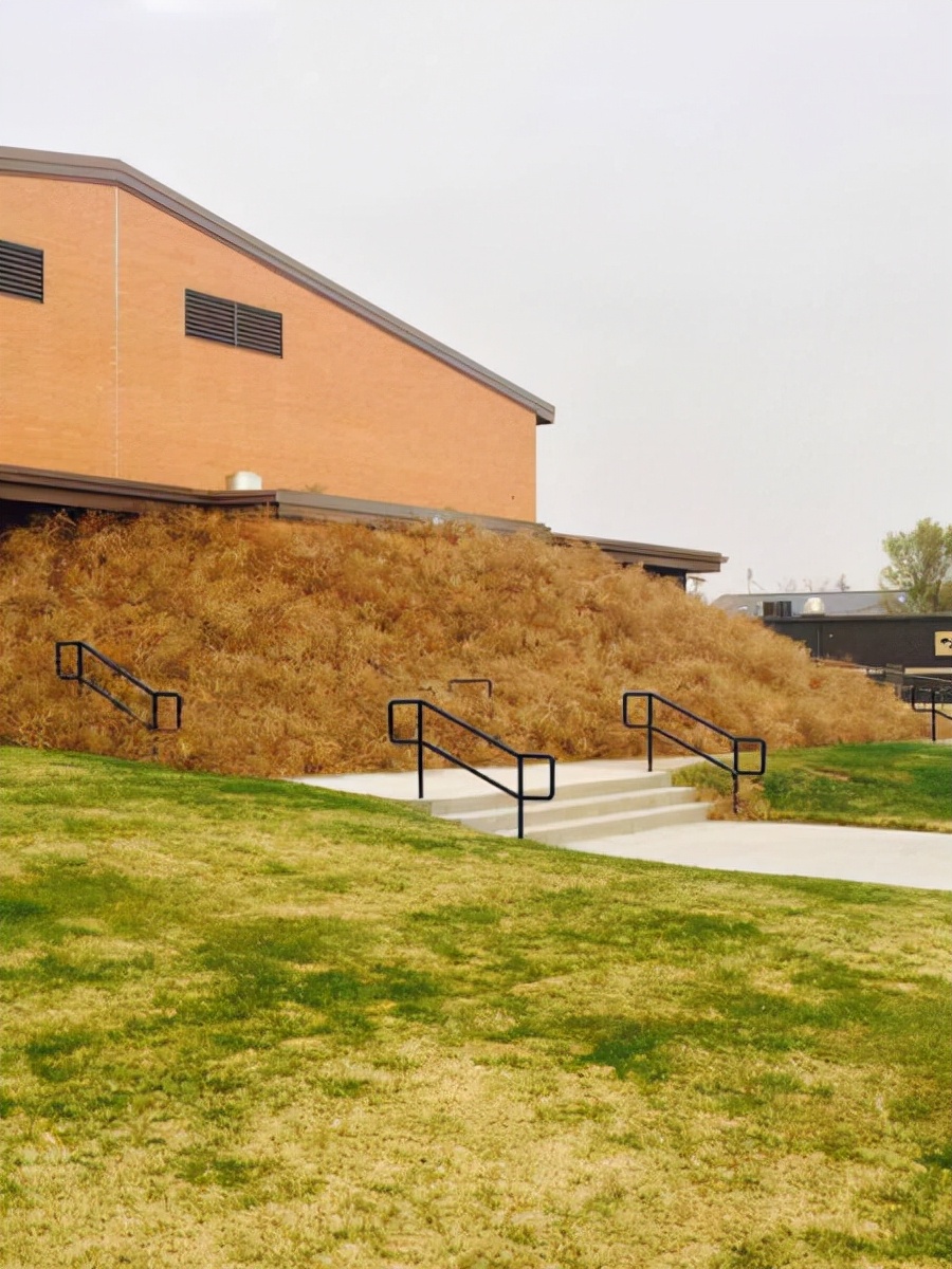 80张神奇偶然瞬间，环形闪电，海蛇和最毒石斑鱼互咬，骑骆驼拍照