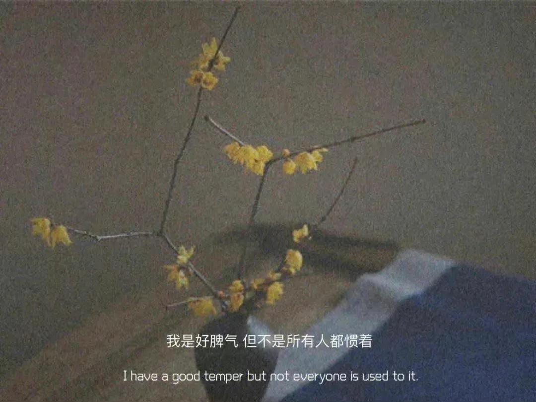 情绪郁结文案,熬过心情再熬生活的文案