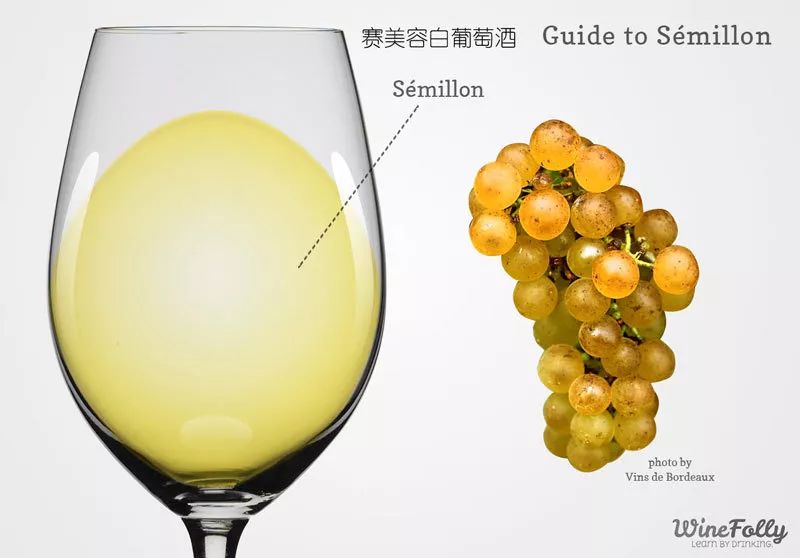 澳洲最值得收藏的葡萄酒,收藏葡萄酒推荐排行榜前十名