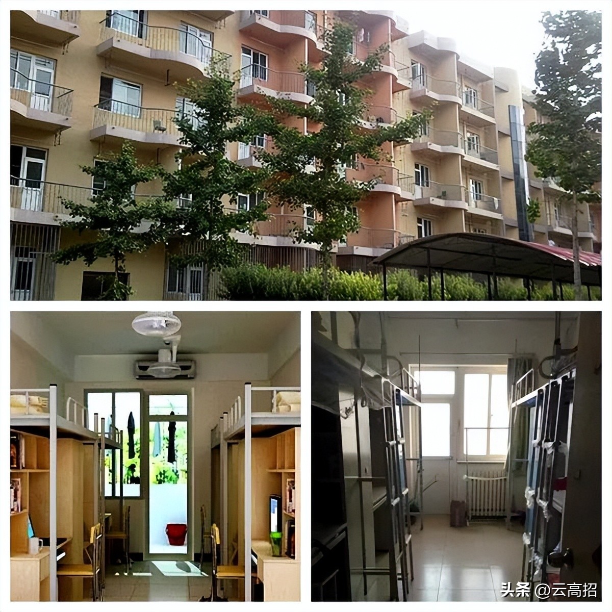 鍝簺澶у鐨勪綇瀹挎潯浠跺ソ,鍚勪釜澶у浣忓鏉′欢