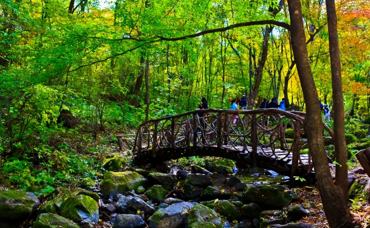 黑龙江省内自驾旅游线路推荐,黑龙江附近沿海城市开车自驾