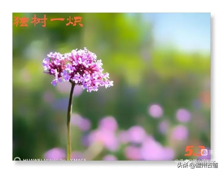 告别春天迎接夏天的诗,告别春天迎接夏天到来