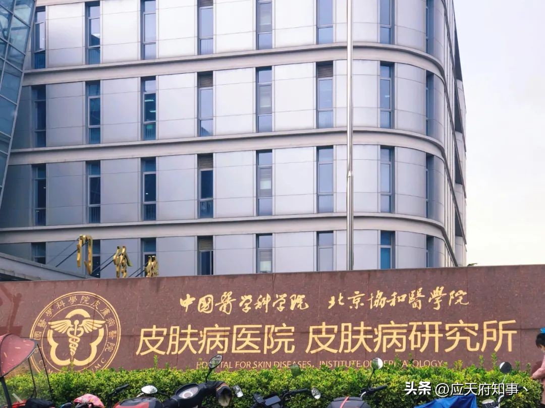 南京皮研所是干嘛的,南京皮研所为什么这么牛