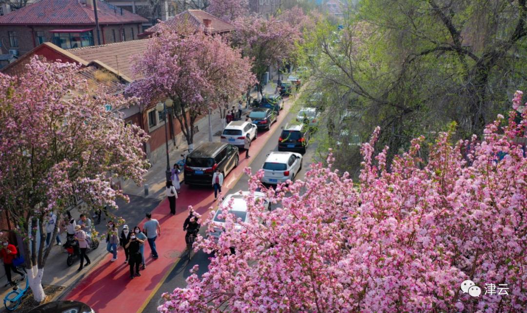 昨夜今晨丨开售！天津坐高铁到香港，票价出炉丨今年以来最强沙尘移出天津丨这个区将建6个“口袋公园”