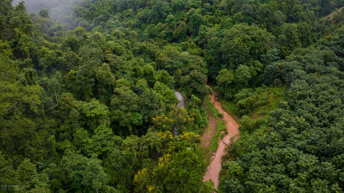 西双版纳最适合住的地方,西双版纳避寒避暑的雨林仙境