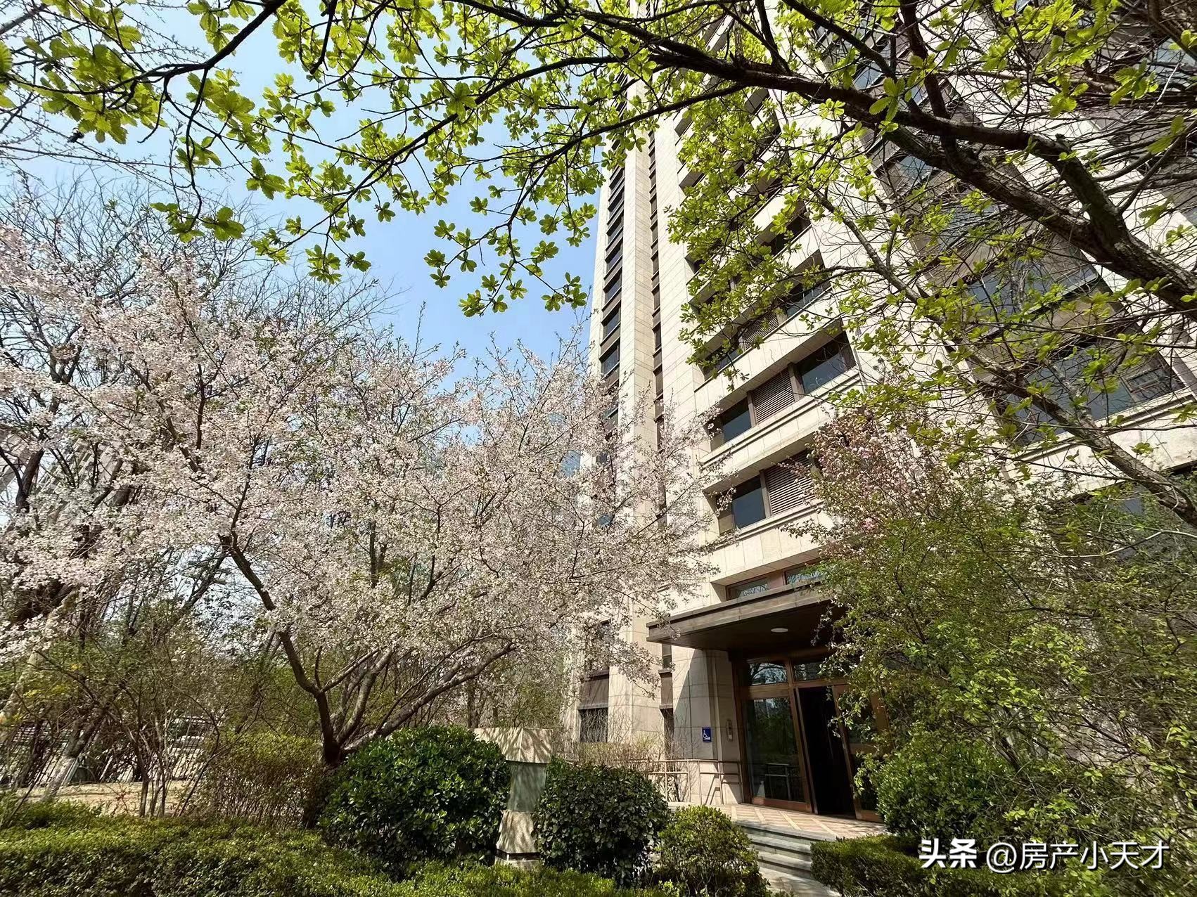 北京望京高档房排名,望京最好的富人区