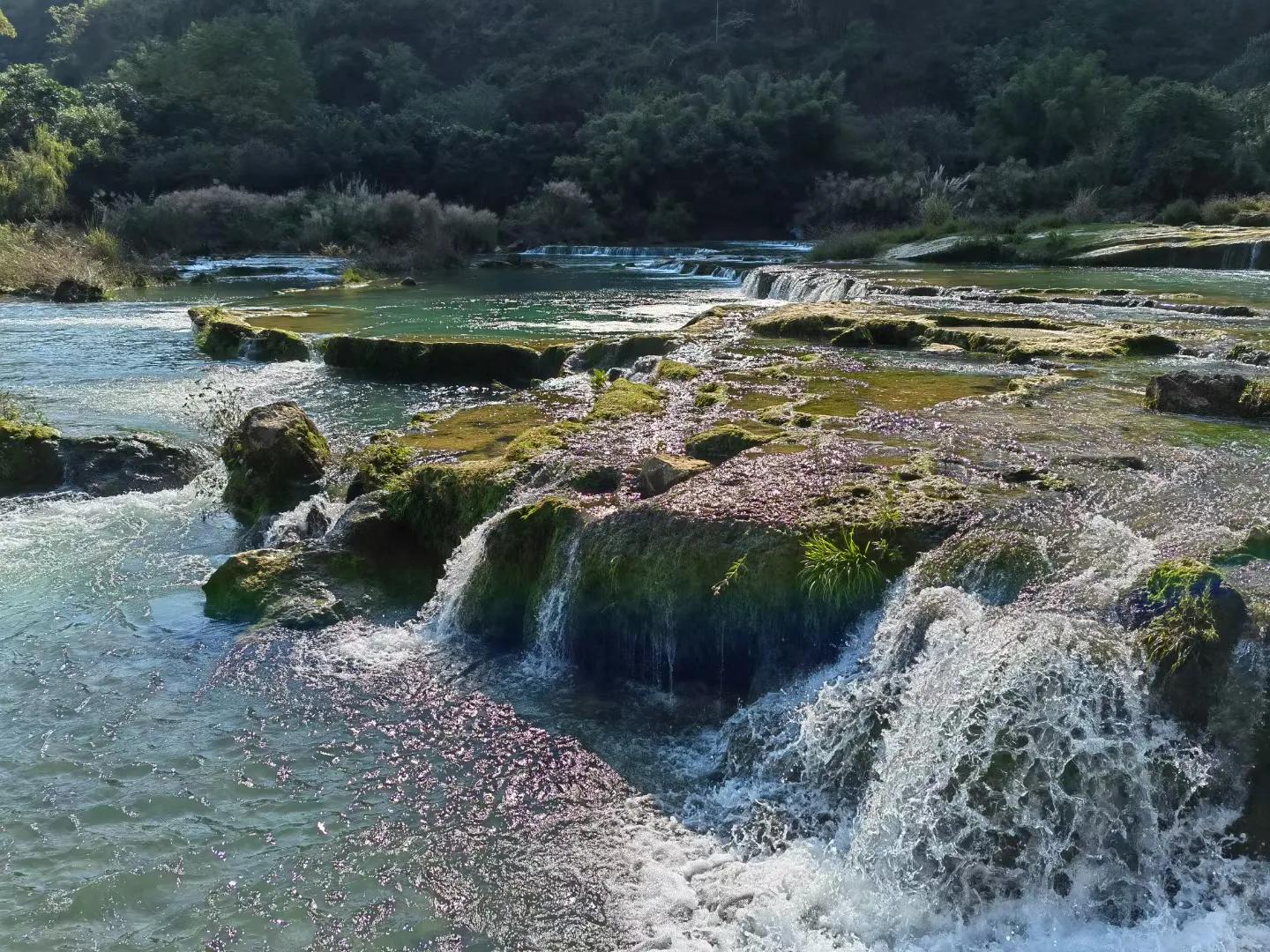 下辈子只想做条只有七秒记忆的鱼,愿做一条只有七秒记忆的鱼