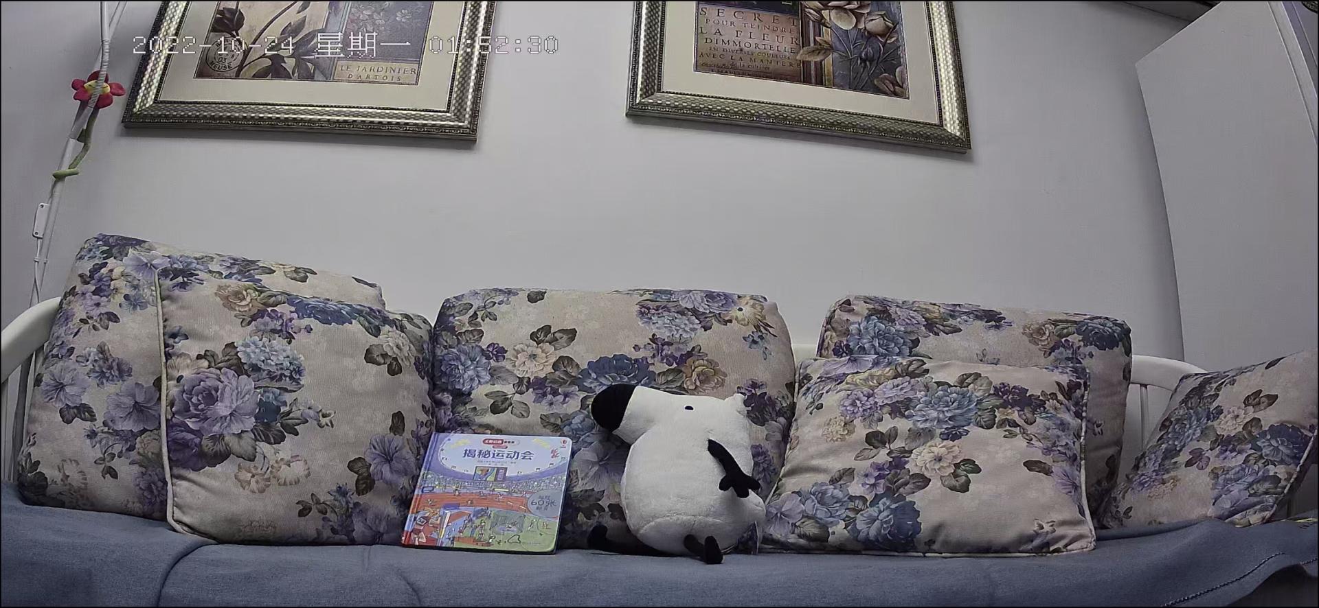 家用摄像头哪款最好用,家用摄像头哪款最实用