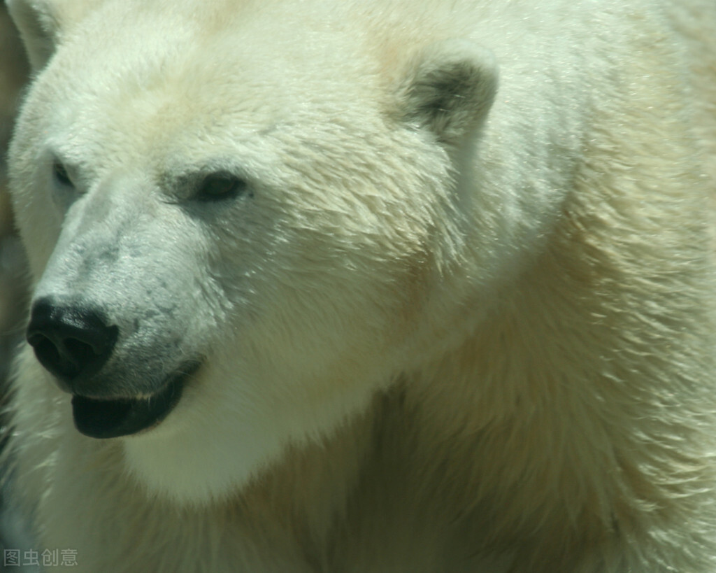 生物多样性黑科技,生物基因黑科技