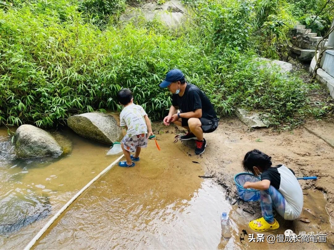 爸妈今天回家了原唱完整版,爸妈今天回老家了我的心情