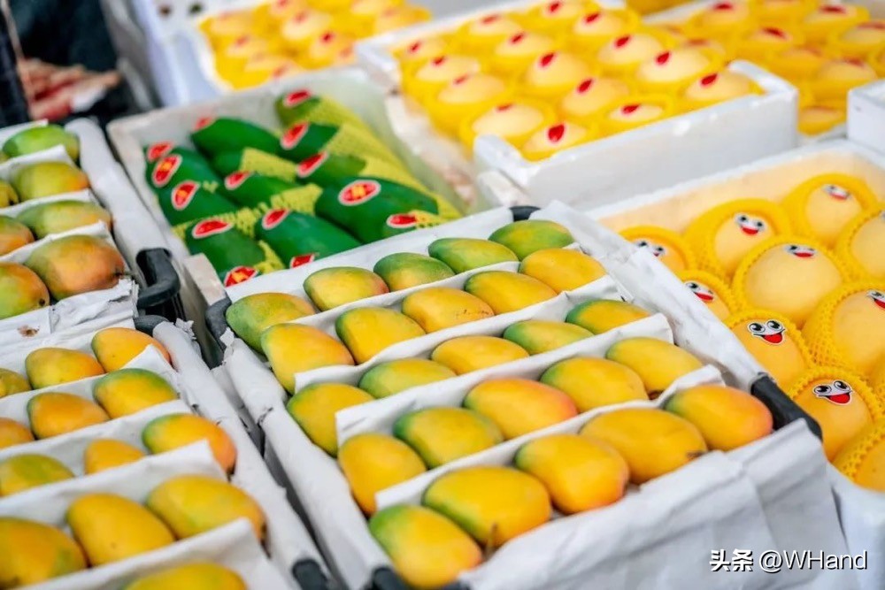 武汉哪些批发市场火爆,武汉人气最旺的批发市场