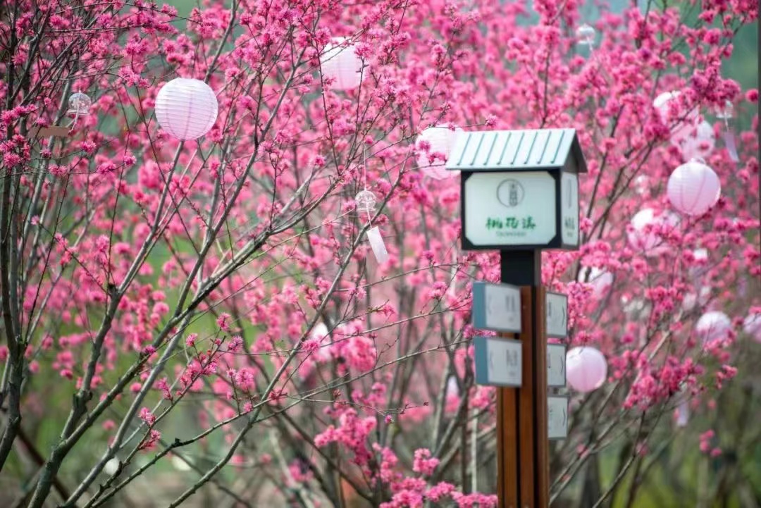 南京两日游攻略门票预约,南京两日游攻略带孩子最佳路线