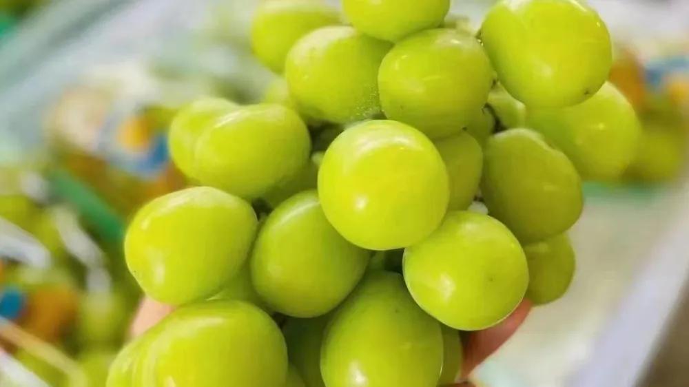 水果店一月毛利点怎么计算,水果店30%的毛利怎么算纯利润