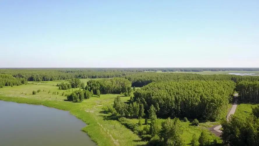 俄罗斯为什么人口可以达到10亿,俄罗斯1亿多人口为什么这么强