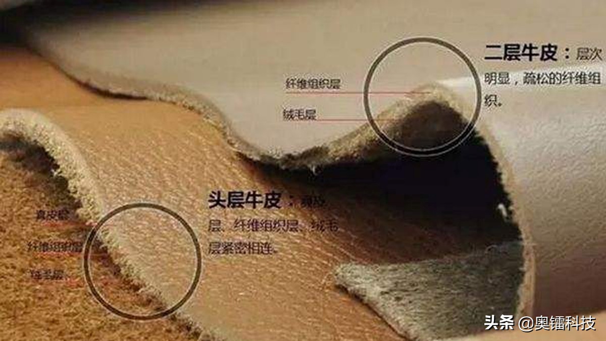 牛皮为什么称为牛皮革,牛皮革是真正的头层牛皮吗
